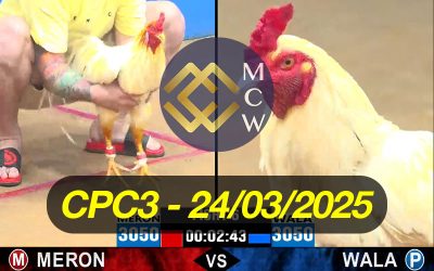 ĐÁ GÀ TRỰC TIẾP CPC3 NGÀY 24/03/2025