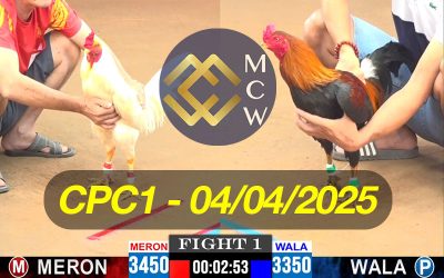 ĐÁ GÀ TRỰC TIẾP CPC1 NGÀY 04/04/2025