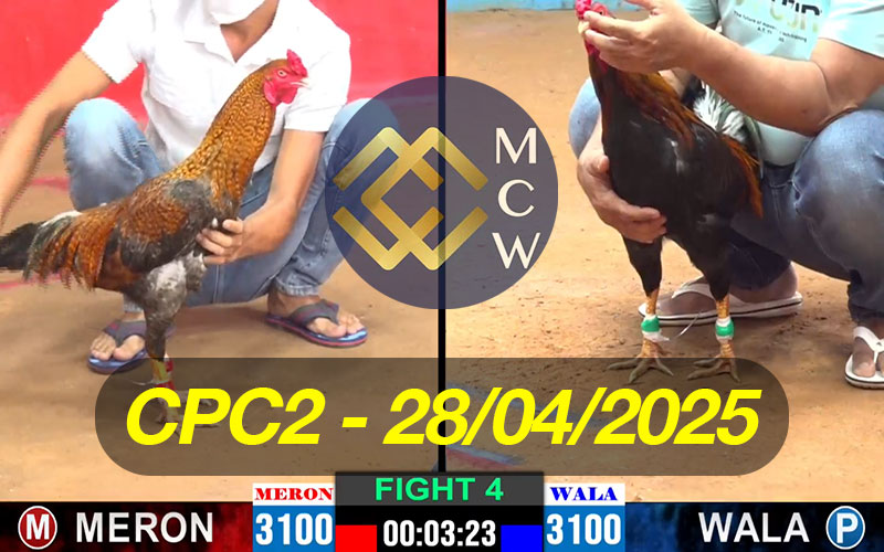 ĐÁ GÀ TRỰC TIẾP CPC2 NGÀY 28/04/2025