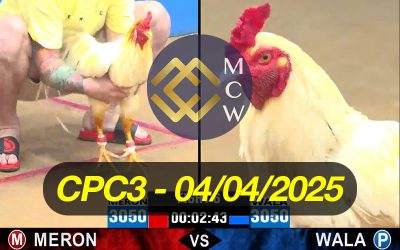 ĐÁ GÀ TRỰC TIẾP CPC3 NGÀY 04/04/2025