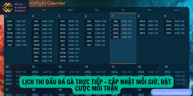 Lịch Thi Đấu Đá Gà Trực Tiếp – Cập Nhật Mỗi Giờ, Đặt Cược Mỗi Trận
