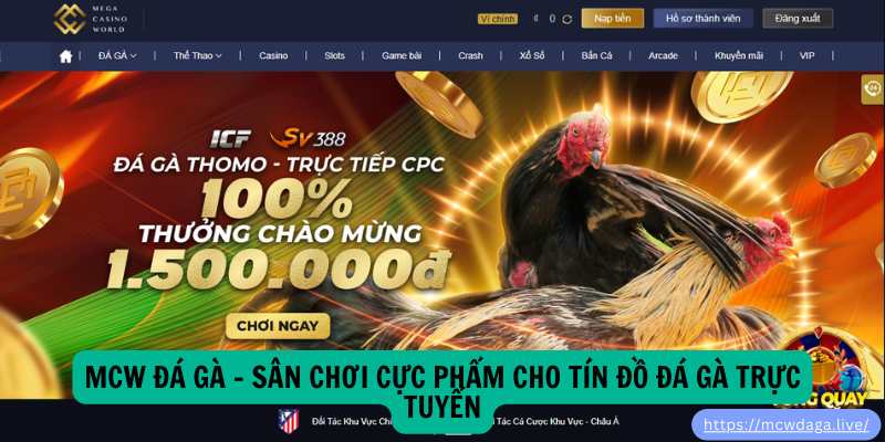 MCW Đá Gà – Sân Chơi Cực Phẩm Cho Tín Đồ Đá Gà Trực Tuyến