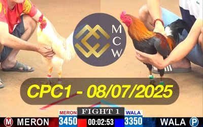 ĐÁ GÀ TRỰC TIẾP CPC1 NGÀY 08/07/2025